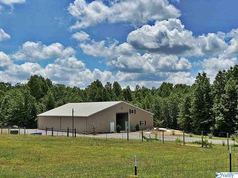 2310 County Road 49, Section, AL 35771 photo 2
