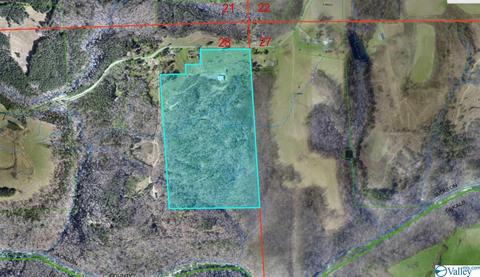 2310 County Road 49, Section, AL 35771 photo 50