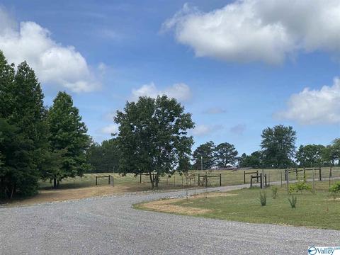 2310 County Road 49, Section, AL 35771 photo 41