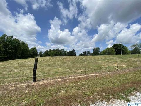 2310 County Road 49, Section, AL 35771 photo 47