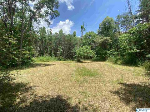 2310 County Road 49, Section, AL 35771 photo 32