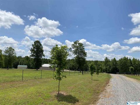 2310 County Road 49, Section, AL 35771 photo 45
