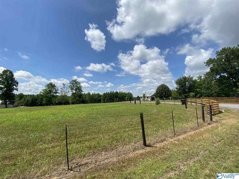 2310 County Road 49, Section, AL 35771 photo 39