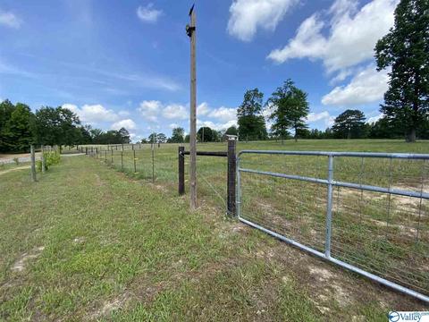 2310 County Road 49, Section, AL 35771 photo 43
