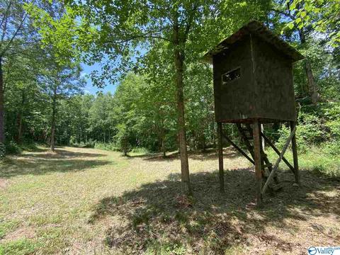 2310 County Road 49, Section, AL 35771 photo 31