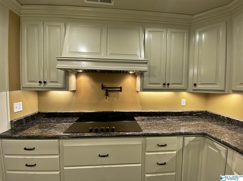 2310 County Road 49, Section, AL 35771 photo 14