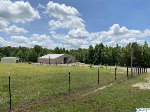 2310 County Road 49, Section, AL 35771 photo 46