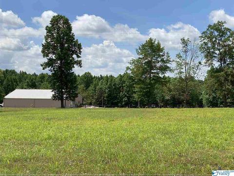 2310 County Road 49, Section, AL 35771 photo 38
