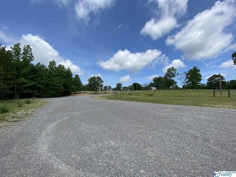2310 County Road 49, Section, AL 35771 photo 40