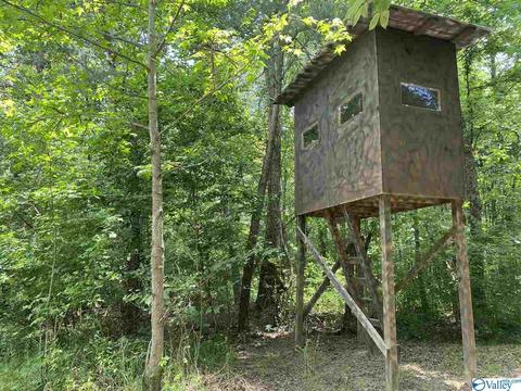 2310 County Road 49, Section, AL 35771 photo 34