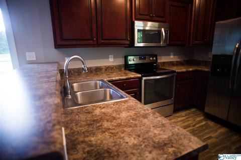 206 County Road 367, Trinity, AL 35673 photo 8