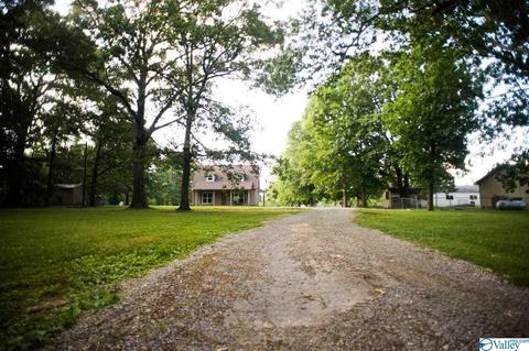 206 County Road 367, Trinity, AL 35673 photo 37