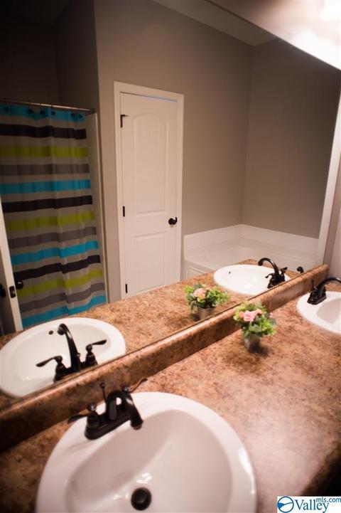 206 County Road 367, Trinity, AL 35673 photo 18