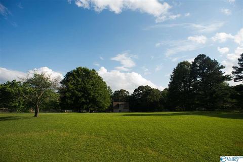 206 County Road 367, Trinity, AL 35673 photo 34