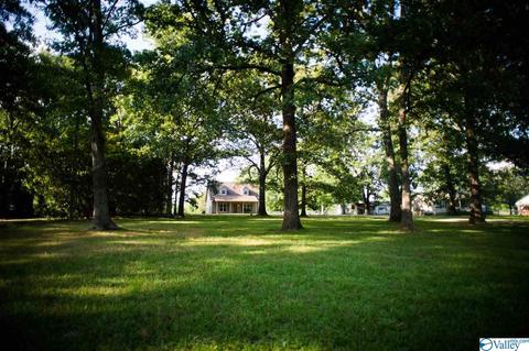 206 County Road 367, Trinity, AL 35673 photo 30