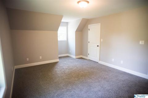 206 County Road 367, Trinity, AL 35673 photo 28