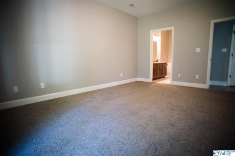 206 County Road 367, Trinity, AL 35673 photo 14