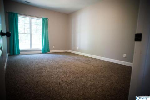 206 County Road 367, Trinity, AL 35673 photo 13