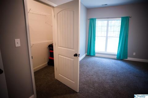 206 County Road 367, Trinity, AL 35673 photo 19