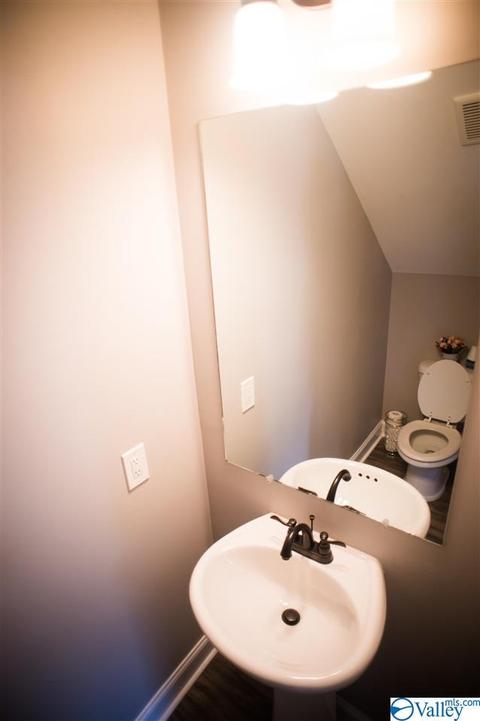 206 County Road 367, Trinity, AL 35673 photo 11