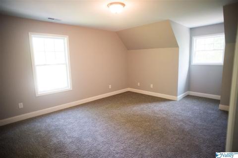 206 County Road 367, Trinity, AL 35673 photo 27