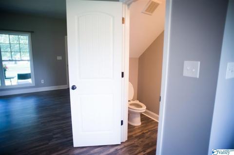 206 County Road 367, Trinity, AL 35673 photo 12