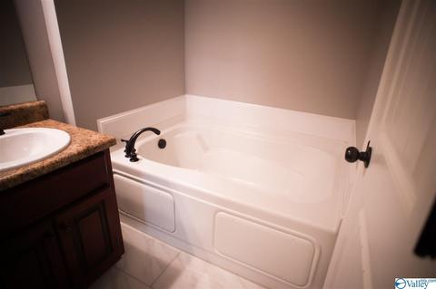 206 County Road 367, Trinity, AL 35673 photo 16