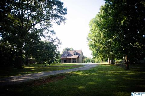 206 County Road 367, Trinity, AL 35673 photo 32