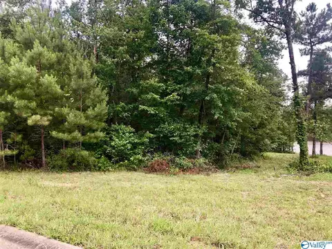23 Azalea Trl, Centre, AL 35960
