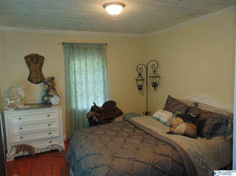17 3rd St NE, Arab, AL 35016 photo 22