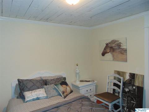 17 3rd St NE, Arab, AL 35016 photo 23