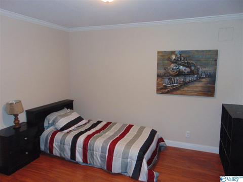 17 3rd St NE, Arab, AL 35016 photo 20