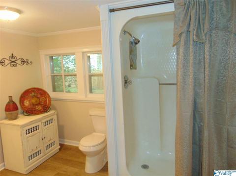 17 3rd St NE, Arab, AL 35016 photo 17