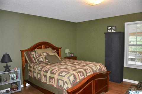 1456 Baker Mountain Rd, Grant, AL 35747 photo 10