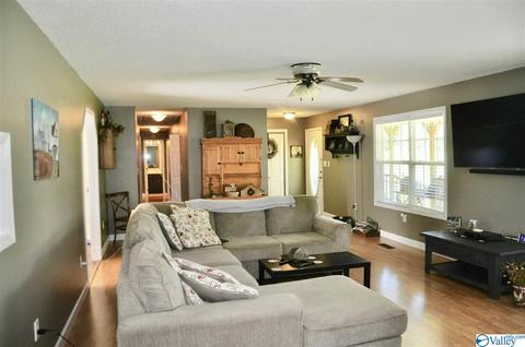 1456 Baker Mountain Rd, Grant, AL 35747 photo 3