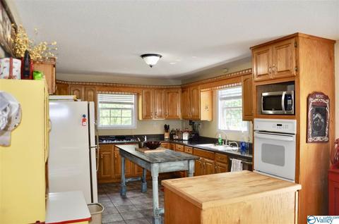 1456 Baker Mountain Rd, Grant, AL 35747 photo 4