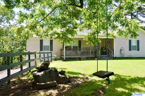 1456 Baker Mountain Rd, Grant, AL 35747 photo 1