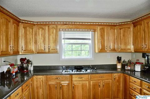 1456 Baker Mountain Rd, Grant, AL 35747 photo 6
