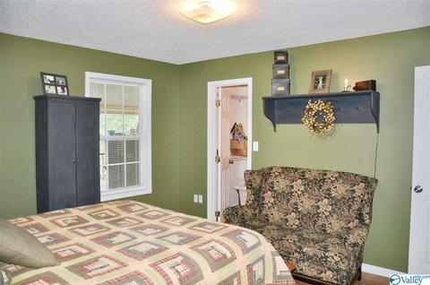 1456 Baker Mountain Rd, Grant, AL 35747 photo 11