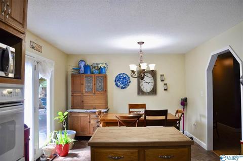 1456 Baker Mountain Rd, Grant, AL 35747 photo 7
