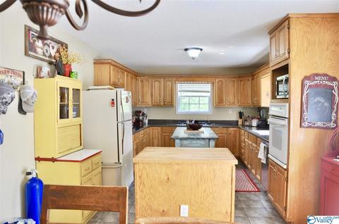1456 Baker Mountain Rd, Grant, AL 35747 photo 5