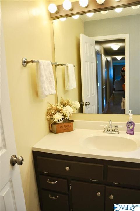 1456 Baker Mountain Rd, Grant, AL 35747 photo 15