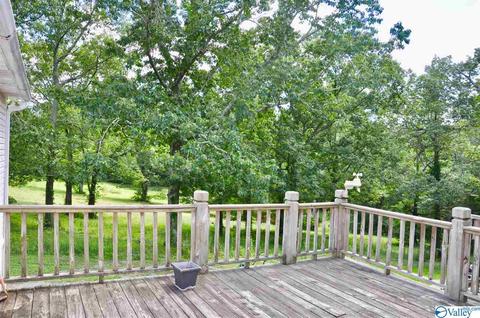 1456 Baker Mountain Rd, Grant, AL 35747 photo 28