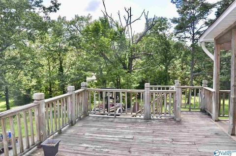 1456 Baker Mountain Rd, Grant, AL 35747 photo 25