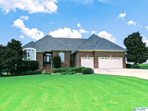 199 County Road 470, Trinity, AL 35673 photo 1