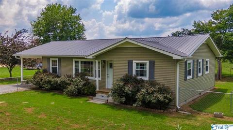 490 County Road 338, Section, AL 35771 photo 1