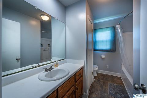 490 County Road 338, Section, AL 35771 photo 19