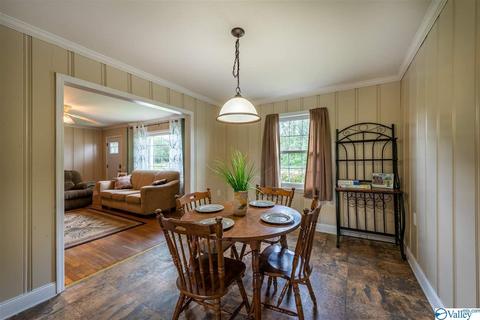 490 County Road 338, Section, AL 35771 photo 9