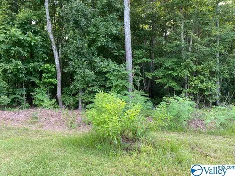 lot16 Sweetwater Ln, Rainbow City, AL 35906