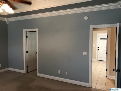 365 Mill Rd, Madison, AL 35758 photo 19
